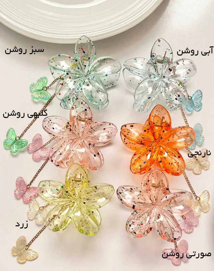 کلیپس پلومریا شفاف